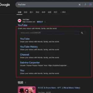 Auto-Generated Site Search Results Preview